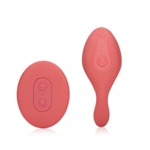 Panty Vibrator met Afstandsbediening